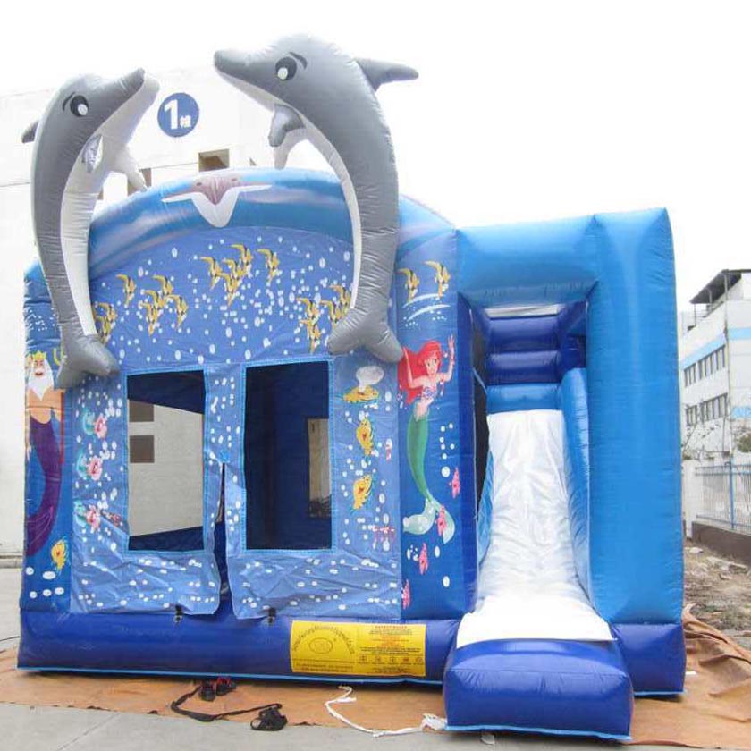 Inflatable Combo CB24